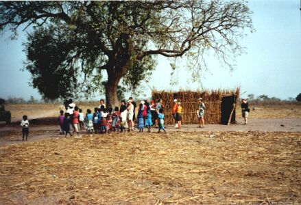 Gambia billede 7