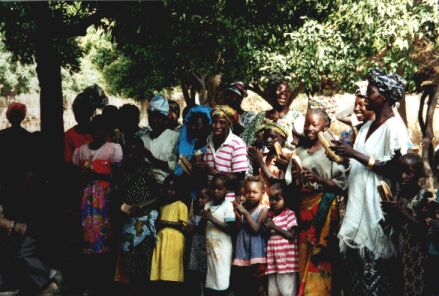 Gambia billede 21