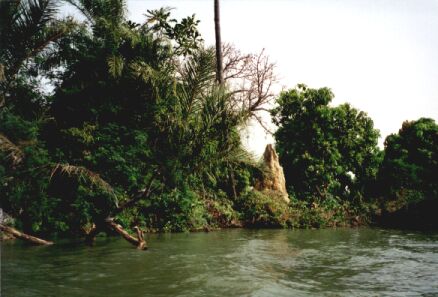 Gambia billede 26